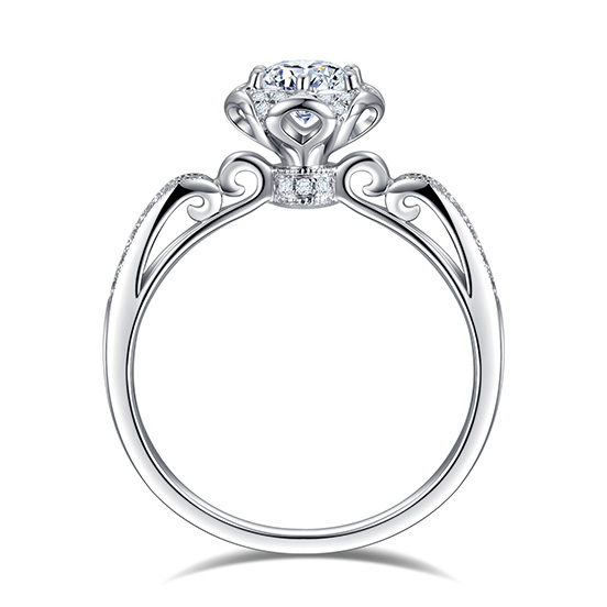 冠冕情深 ▏征服