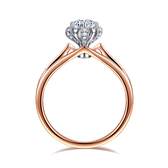 冠冕情深 ▏光芒